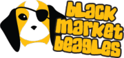 blackmarketbeagles.gif