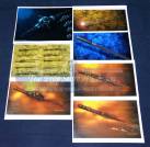 prop_serenity-harpoonartwork.jpg